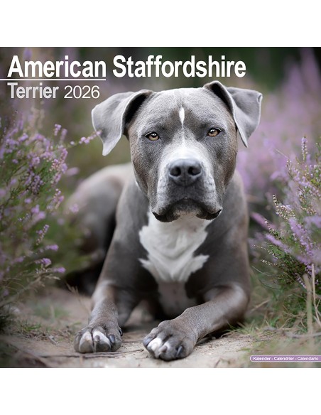 Calendars with guard and defence dogs - Record