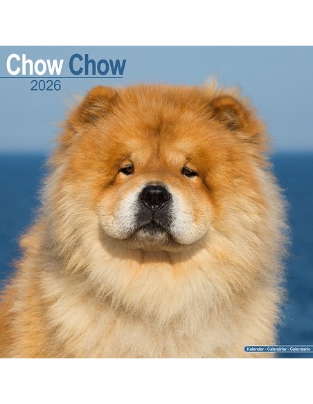 Calendars with guard and defence dogs - Record