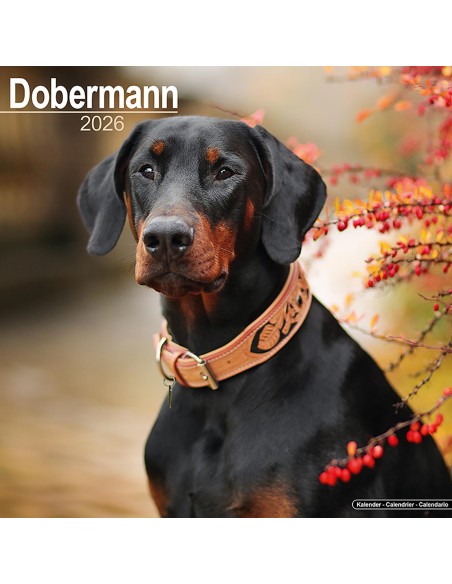 Calendars with guard and defence dogs - Record