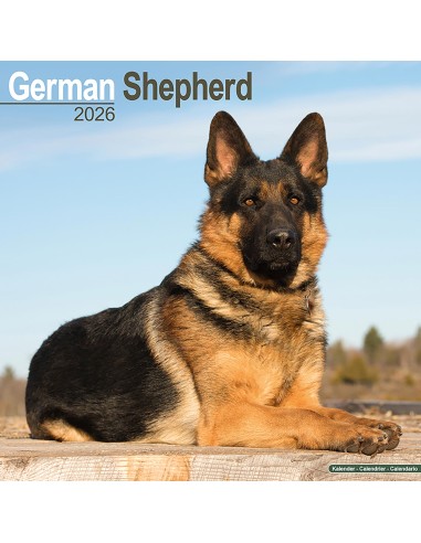 Calendari con cani da guardia e da difesa - Record