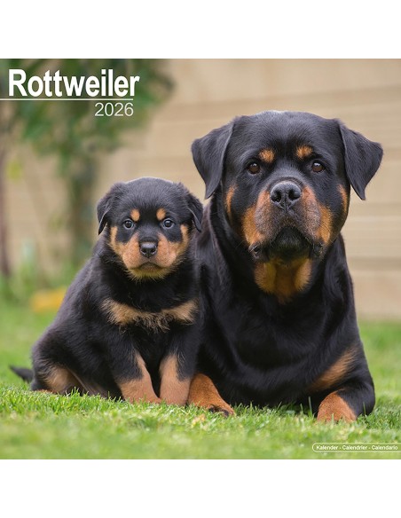 Calendars with guard and defence dogs - Record