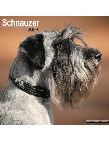 Calendars with guard and defence dogs - Record