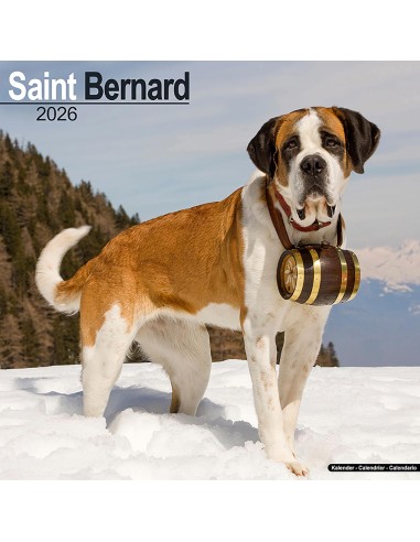 Calendari con cani da guardia e da difesa - Record