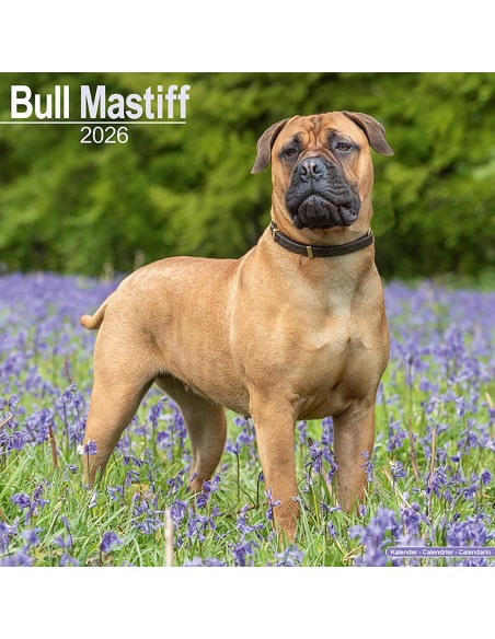 Calendars with guard and defence dogs - Record