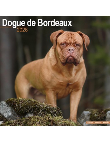 Calendars with guard and defence dogs - Record