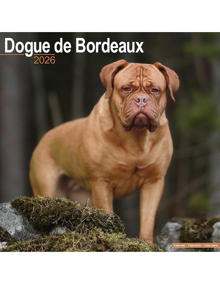 Calendars with guard and defence dogs - Record