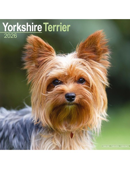 Calendars with small dogs and puppies - Record