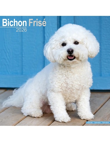 Calendari con cani di piccola taglia e cuccioli - Record