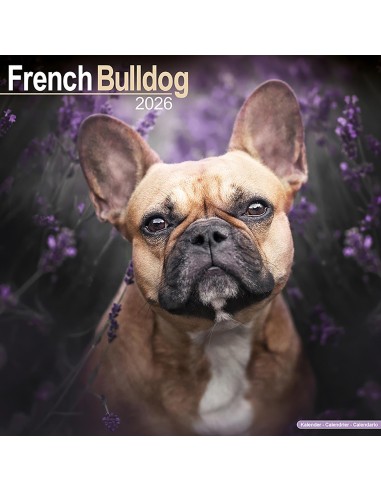 Calendars with small dogs and puppies - Record