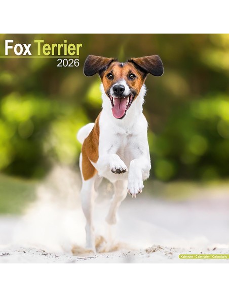 Calendars with small dogs and puppies - Record