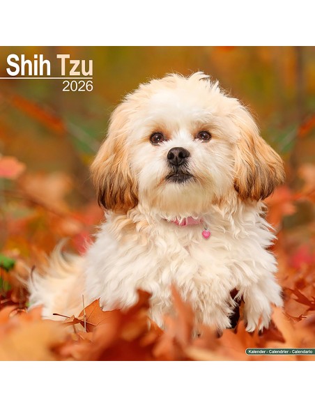 Calendars with small dogs and puppies - Record