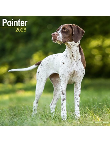 Calendari con cani da caccia - Record