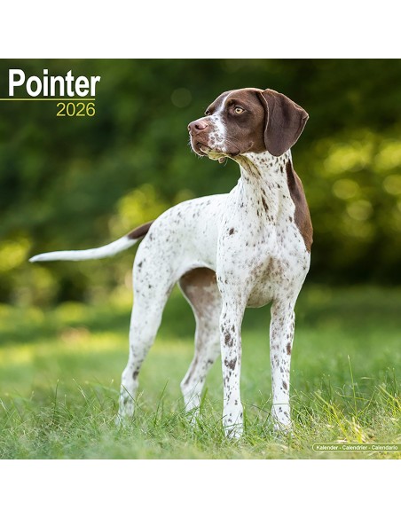 Calendari con cani da caccia - Record