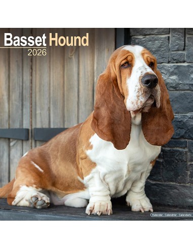 Calendars with hunting dogs - Record