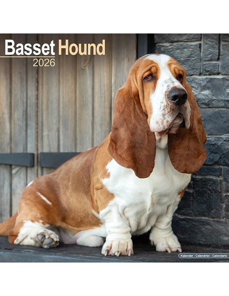 Calendars with hunting dogs - Record