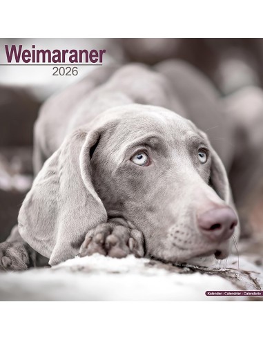 Calendari con cani da caccia - Record