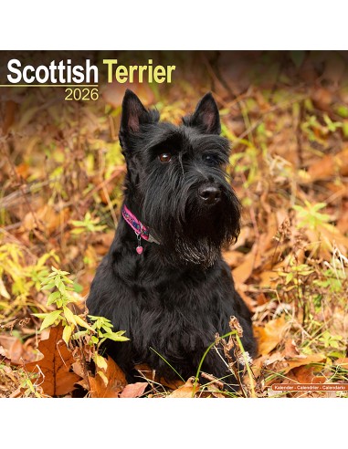 Calendars with hunting dogs - Record