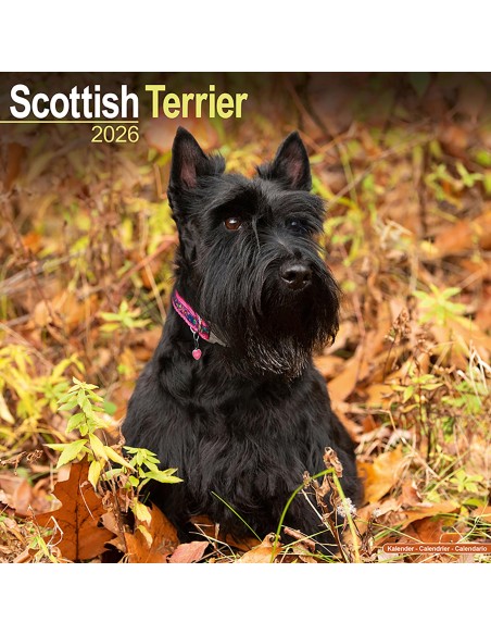 Calendars with hunting dogs - Record