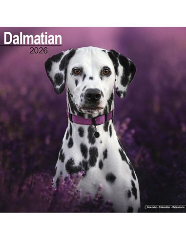 Calendars with hunting dogs - Record