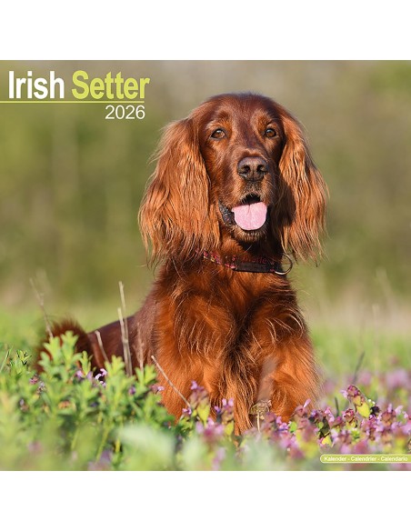 Calendars with hunting dogs - Record