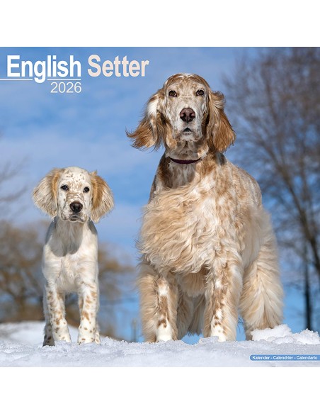 Calendari con cani da caccia - Record