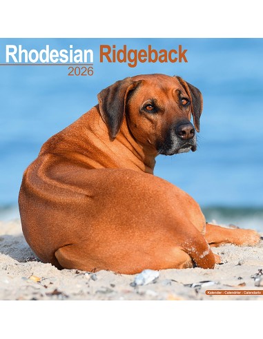 Calendars with hunting dogs - Record