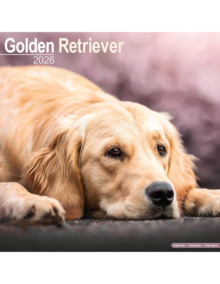 Calendari con cani da compagnia taglia media/grande - Record