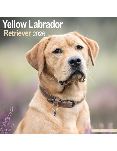 Calendari con cani da compagnia taglia media/grande - Record