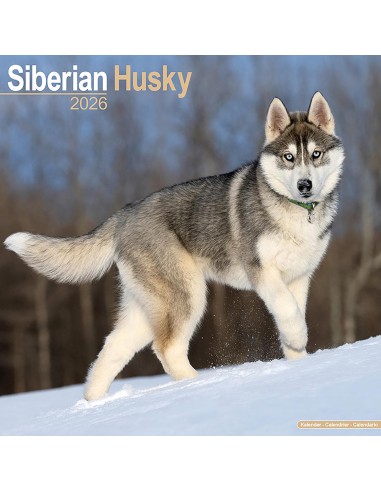 Calendars with medium sized/ big dogs - Record