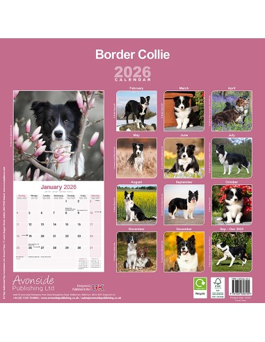 Calendars with medium sized/ big dogs - Record