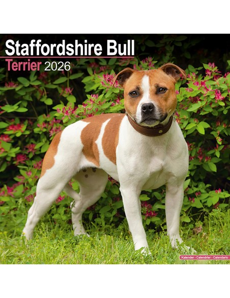 Calendars with medium sized/ big dogs - Record