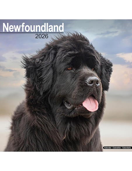 Calendari con cani da compagnia taglia media/grande - Record