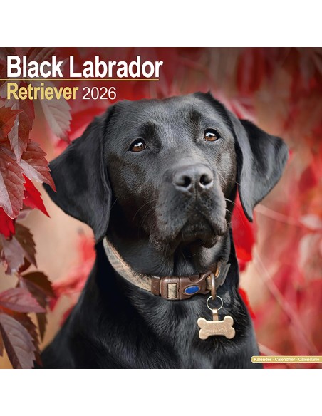 Calendars with medium sized/ big dogs - Record