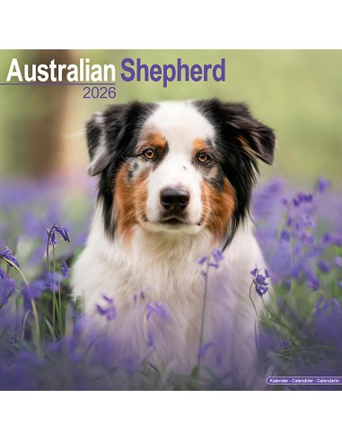 Calendars with medium sized/ big dogs - Record