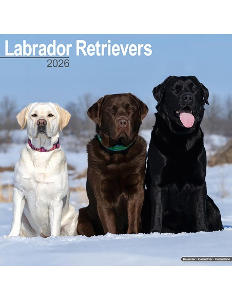 Calendars with medium sized/ big dogs - Record