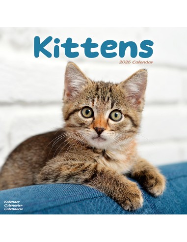 Calendario con gatti - Record