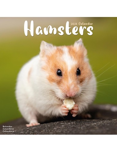 Calendars with rodents - Record