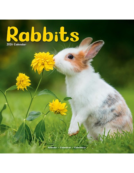 Calendars with rodents - Record