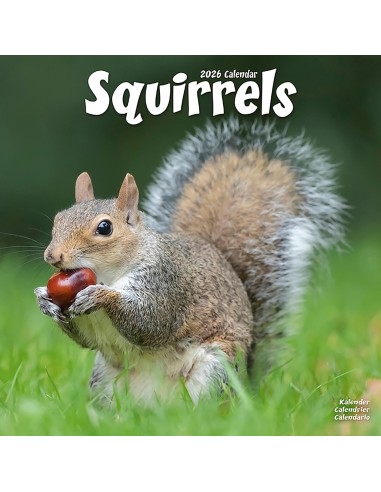 Calendars with rodents - Record