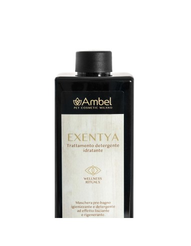 Ambel Exentya trattamento detergente idratante - Record