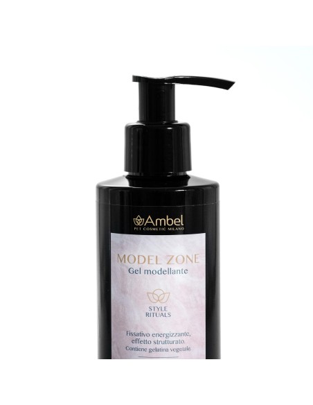 Ambel Model Zone Gel modellante - Record