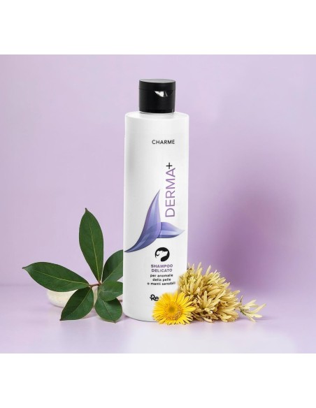 Charme Derma+ Shampoo for dogs and cats - Record