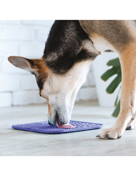 Tappetino sniff mat quadrato per cani e gatti - Record