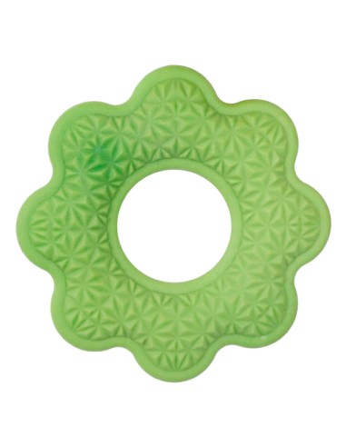 Floating dog toy Freshness - Record