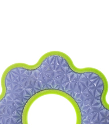 Gioco per cani galleggiante Freshness - Record