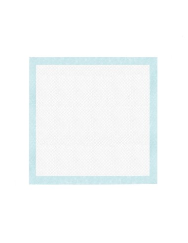 Tapiss puppy pads 60 x 60 cm - Record