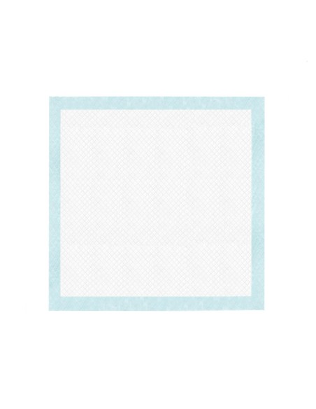 Tapiss puppy pads 60 x 60 cm - Record
