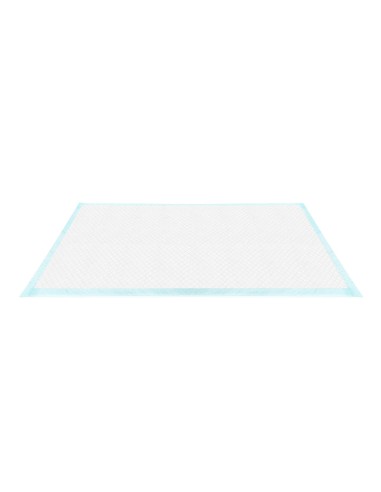 Tapiss puppy pads 60 x 90 cm - Record