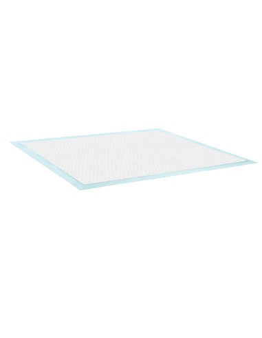 Tapiss puppy pads 60 x 90 cm - Record