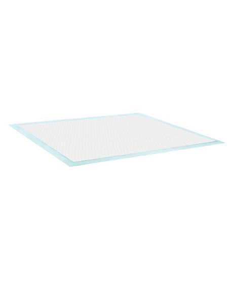Tapiss puppy pads 60 x 90 cm - Record